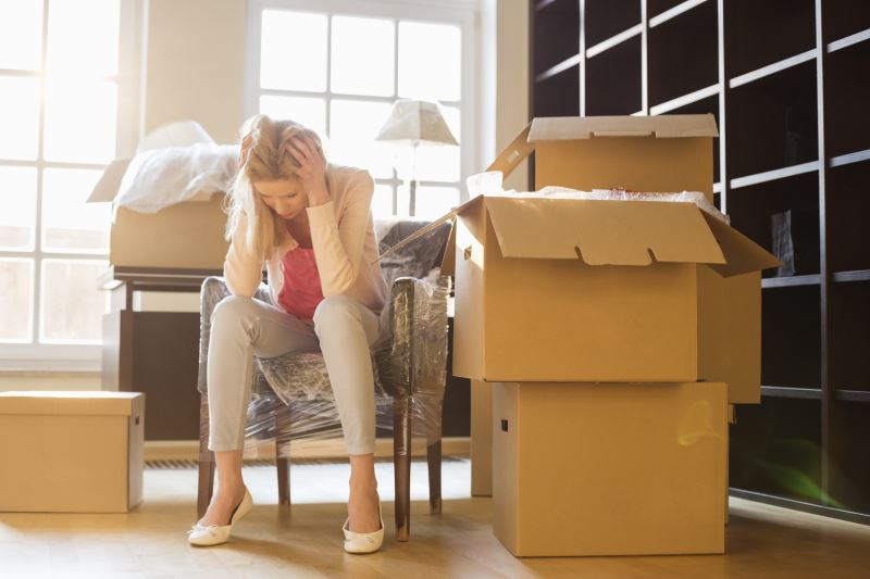 professional movers